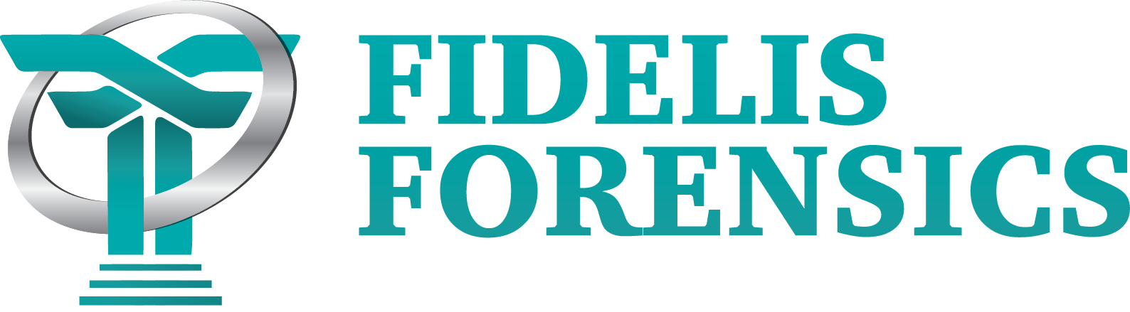 Fidelis Forensics